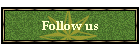 Follow us